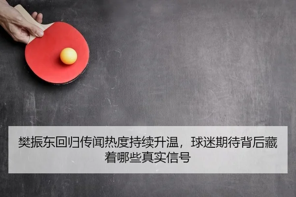 樊振东回归传闻热度持续升温，球迷期待背后藏着哪些真实信号